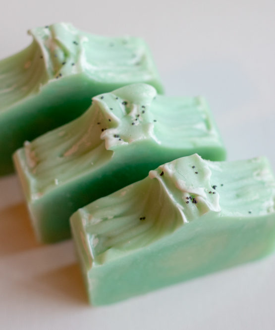 Eucalyptus & Peppermint Soap Enchantment Essentials